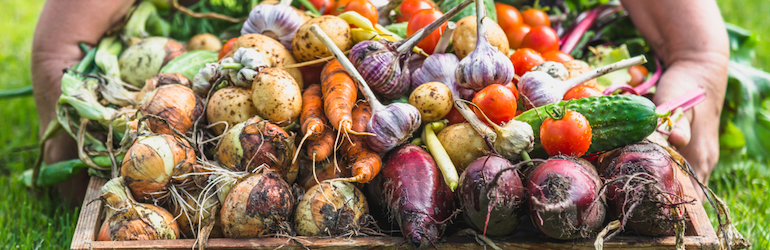 wooden box of seasonal vegetables including onions, potatoes and tomatoes