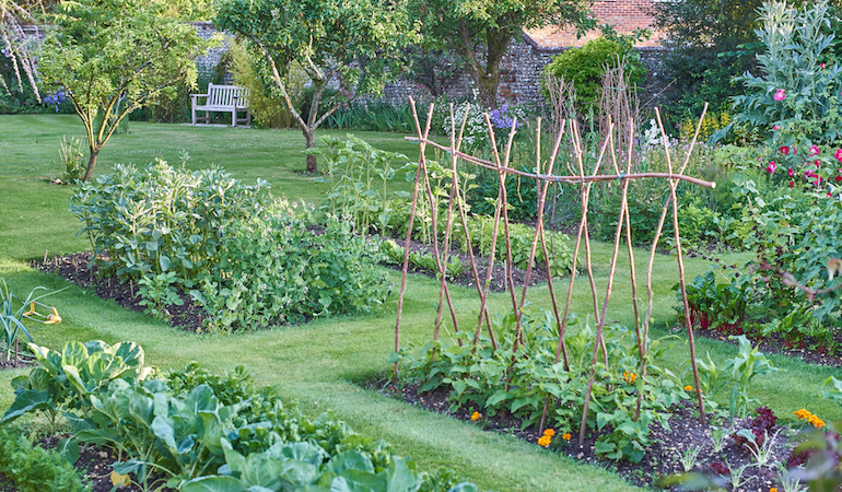 plants for different soil types