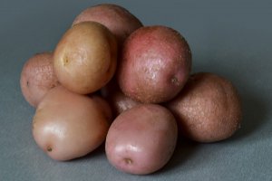 Семенной картофель Романо