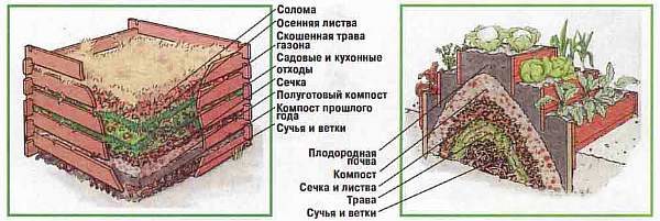 Удобрение для грядок