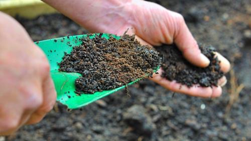 Подготовка картофельного поля осенью. Правила подбора удобрений для разных видов почвы