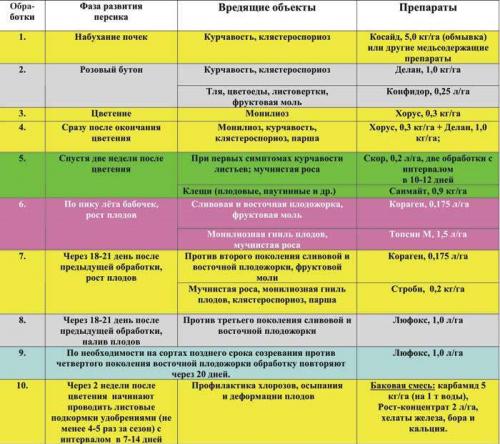 Обрезка персика из косточки. Как вырастить плодоносящее персиковое дерево в Подмосковье