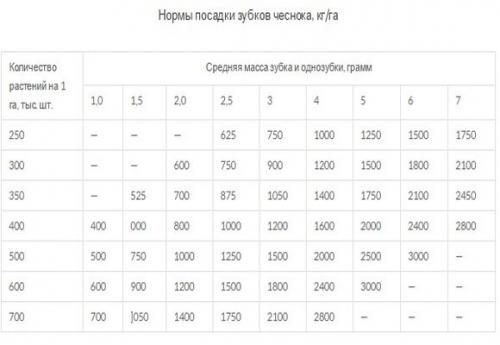 Урожайность чеснока с гектара. Виды чеснока и урожайность