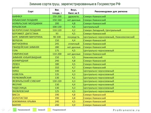 Сбор и хранение зимних груш. Как в домашних условиях сохранить свежими зимние сорта груш